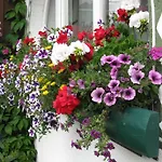 Appartement Haus Hamatli