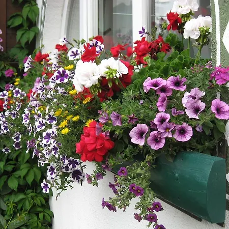 Apartment Haus Hamatli