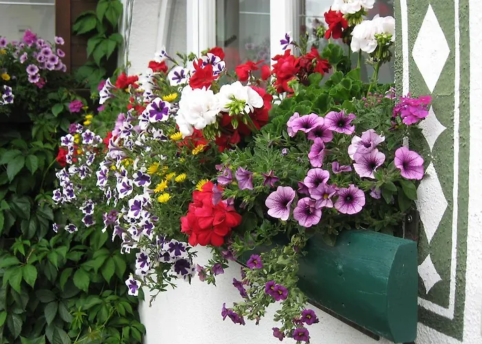 Apartamento Haus Hamatli